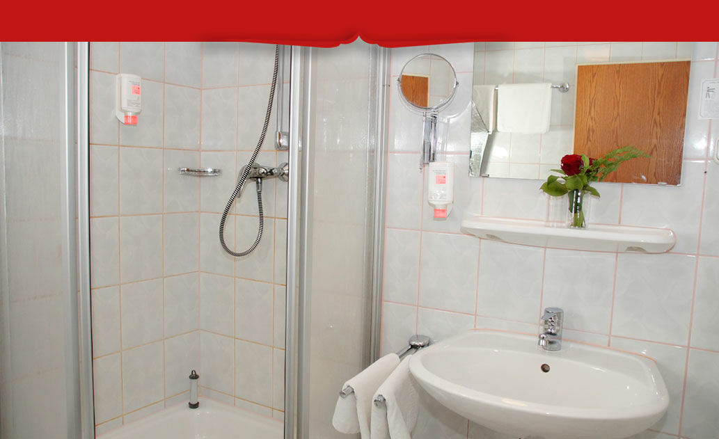 Hotel Lengenfelder Hof 3*